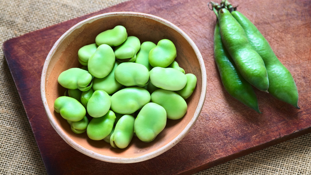 Erweitern Sie Ihre Rezeptliste um ein paar magische Saubohnen. - Tavazo